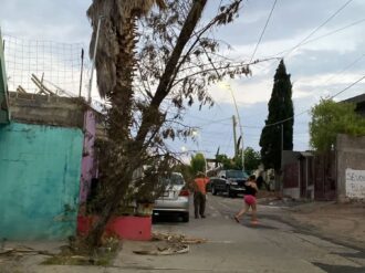 Dejan múltiples daños los vientos en Río Grande