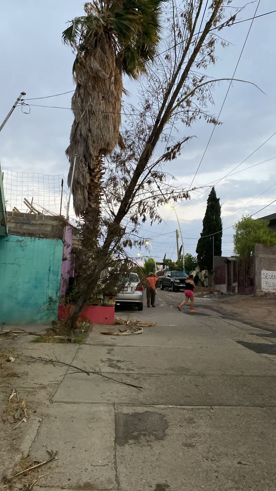 Dejan múltiples daños los vientos en Río Grande 