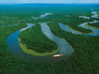 Captan anaconda gigante en el Amazonas, ¿realidad o IA?