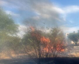 Suman 126 incendios en lo que va del año 