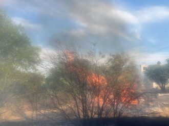 Controlan incendio forestal en Villa de Cos
