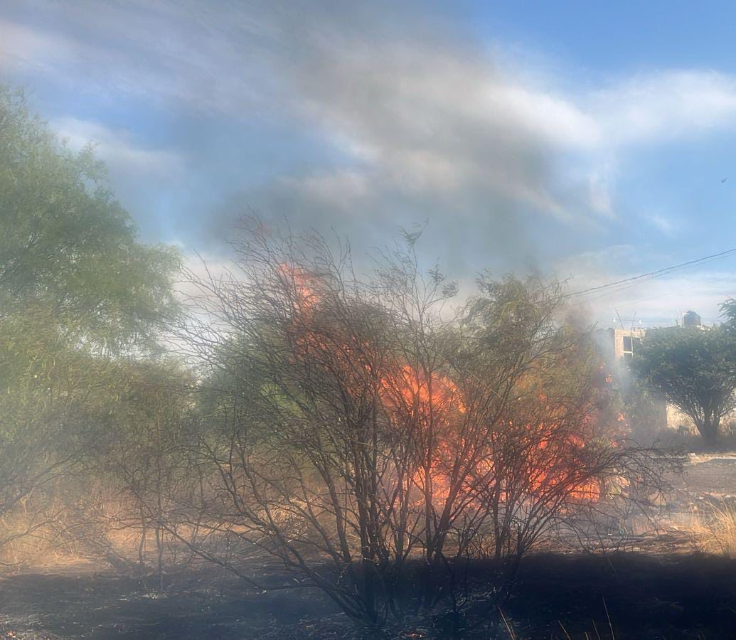 Controlan incendio forestal en Villa de Cos