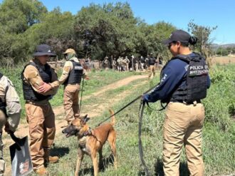 Hallan restos óseos en el Ejido 20 de Noviembre 