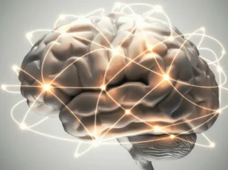 Científicos revelan cómo el cerebro borra recuerdos sin dejar rastro