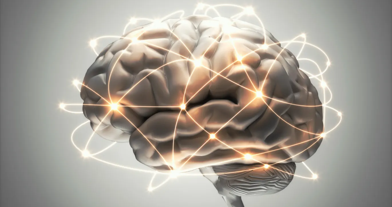 Científicos revelan cómo el cerebro borra recuerdos sin dejar rastro