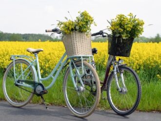 Día mundial de la bicicleta