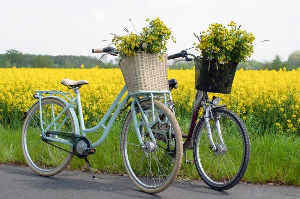 Día mundial de la bicicleta