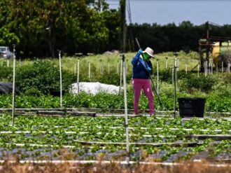 Trabajadores agrícolas en EU