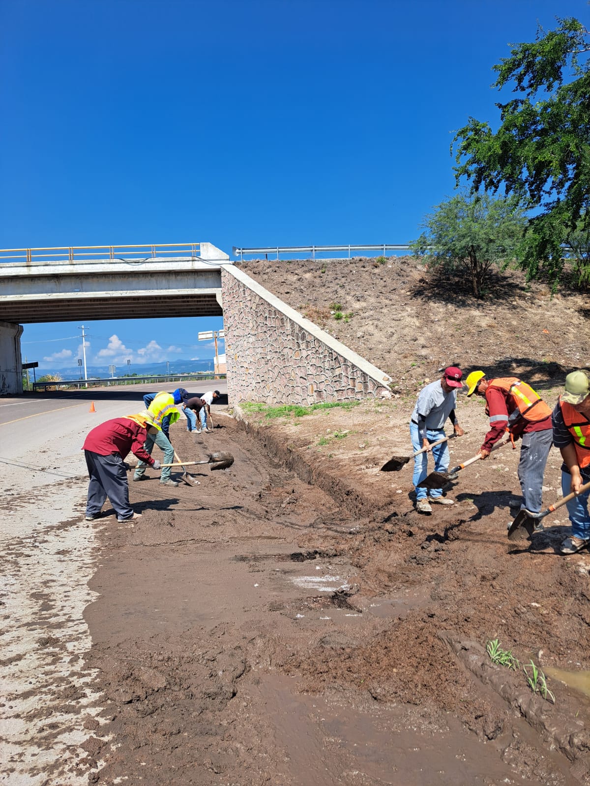 Realizan limpieza por lluvias  