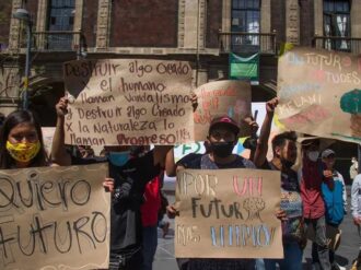 Asesinan en 2024 a 25 activistas ambientales