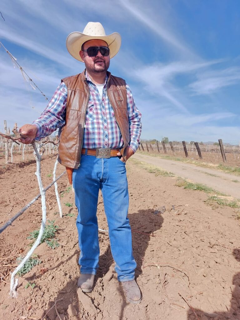 “Hubo productores que sacaron 25 cajas, 50 cajas por hectárea cuando en condiciones normales traen unas 800 o mil cajas. Estuvo muy feo el año pasado, los viñedos quedaron muy amolados”.Zenaido Chávez, vitivinicultor zacatecano
