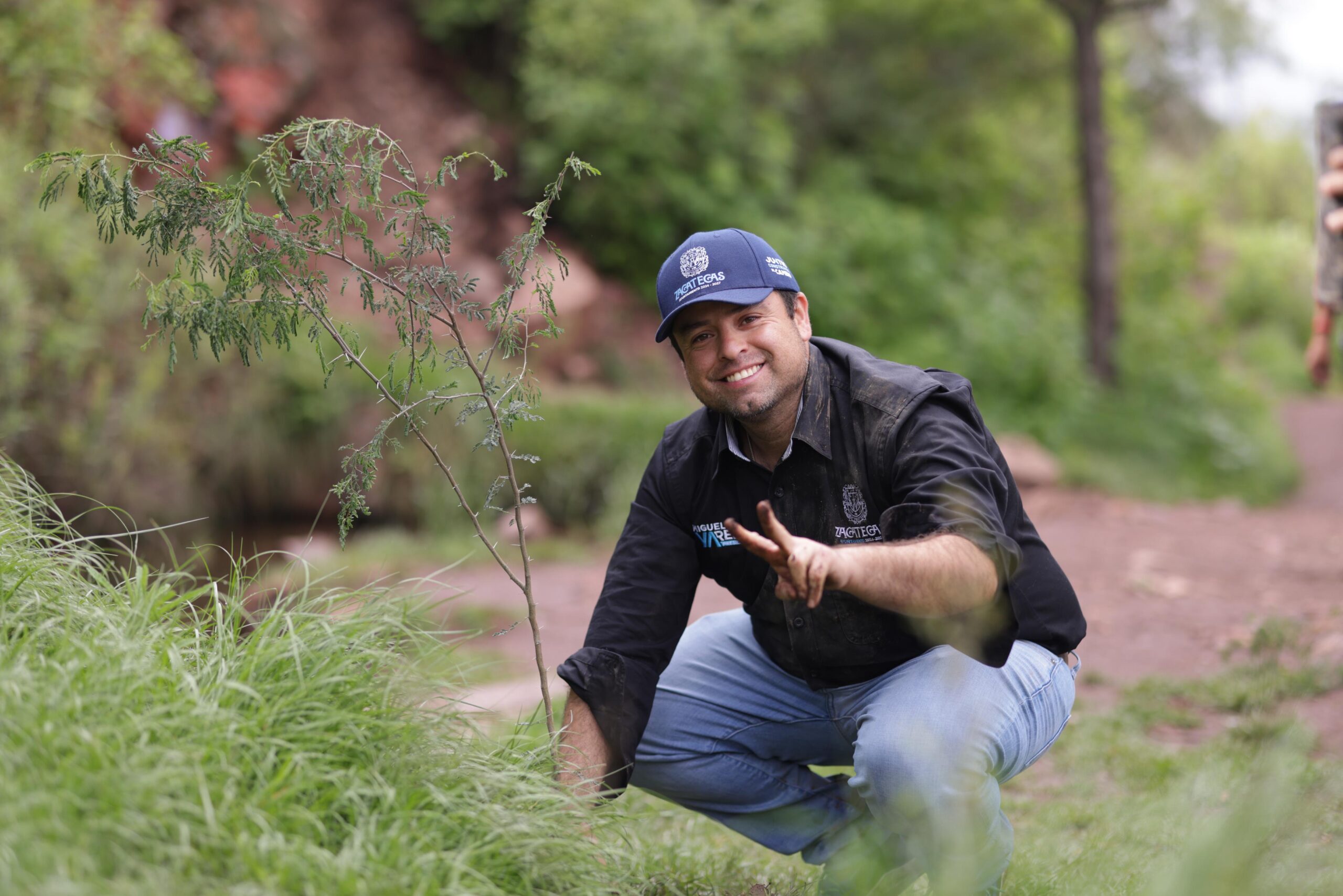 Reforestan el cerro de La Bufa