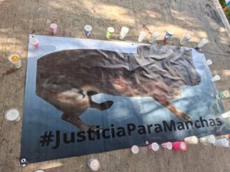 Busca la FGJEZ a responsable de maltrato animal 