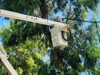 Rehabilitan alumbrado público en la Alameda de Jerez