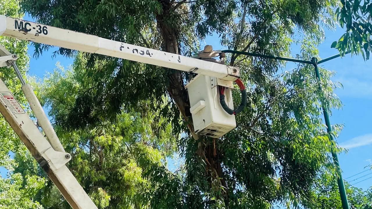 Rehabilitan alumbrado público en la Alameda de Jerez