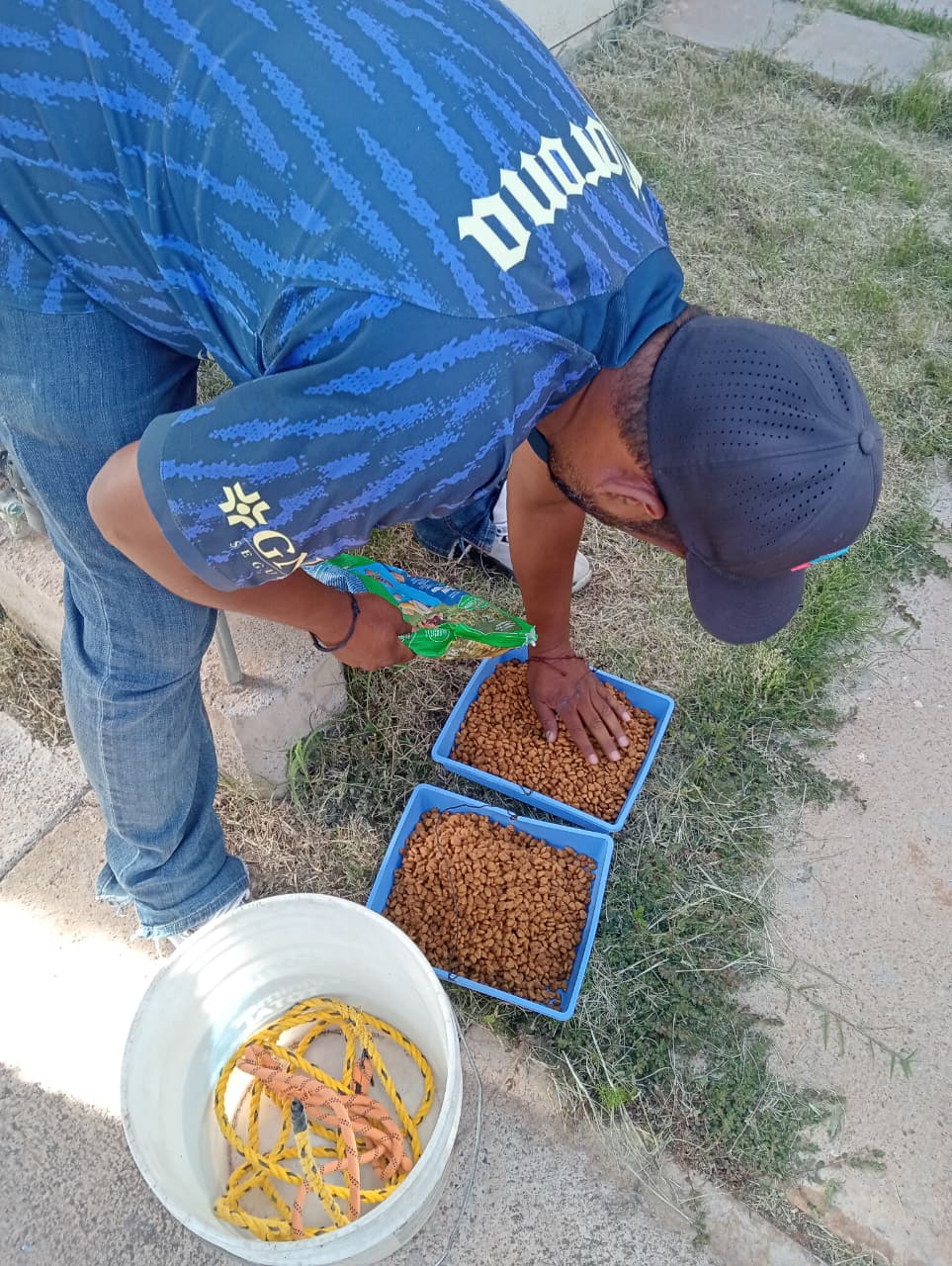 Alimentan a perrito abandonado en un domicilio 