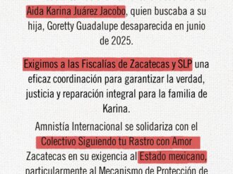 Lamenta Amnistia Internacional asesinato de la madre buscadora Aida Karina 