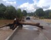 Inician limpieza en el puente Los Ramírez 