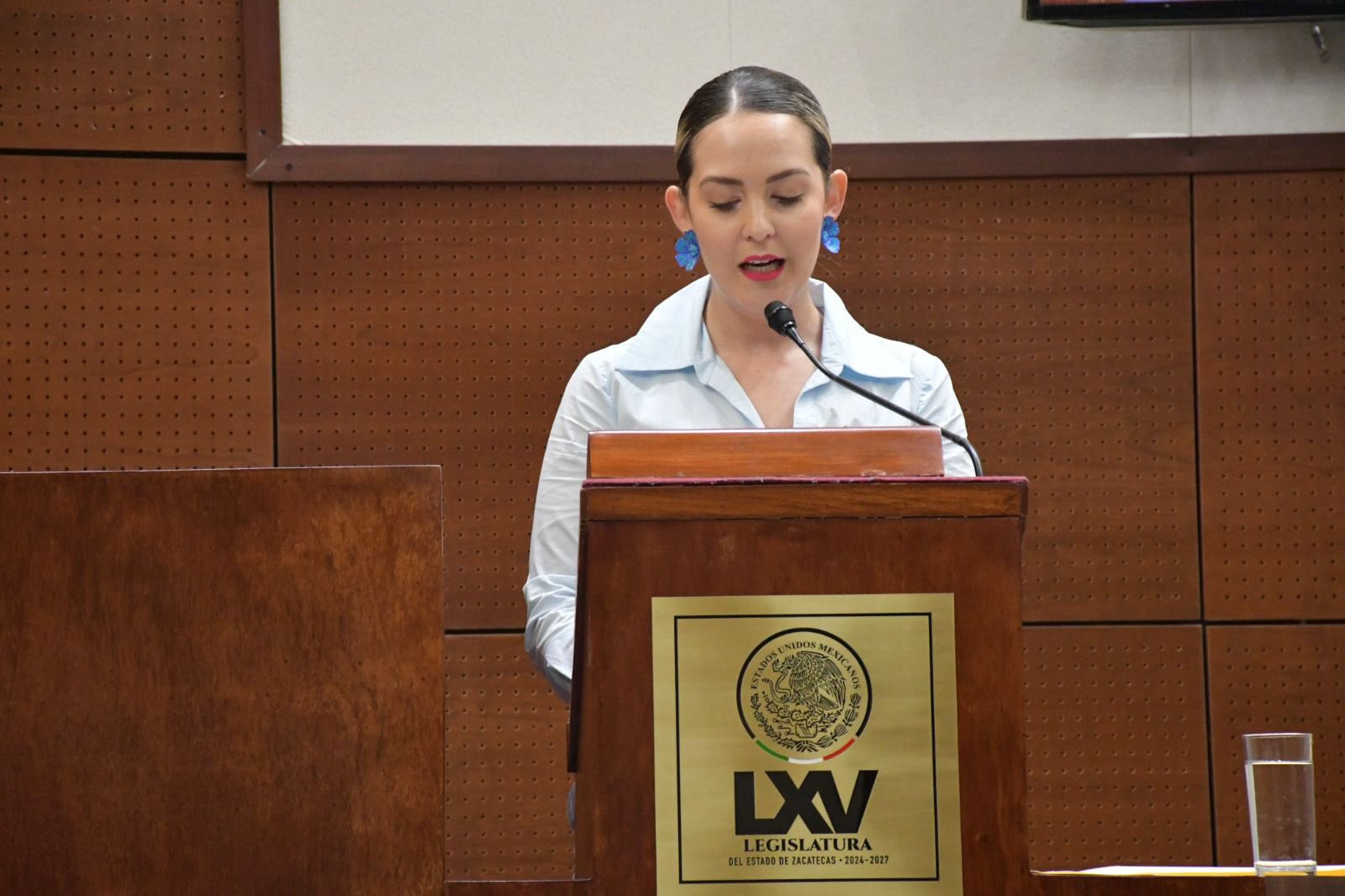 Proponen elevar a rango constitucional el derecho a ser buscado