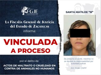 Va a la cárcel por maltratar y quitarle la vida a un gatito