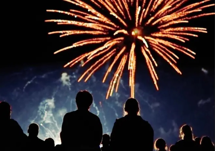 ¿Por qué los fuegos artificiales afectan a los perros y gatos?