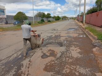 Realizan labores de bacheo y limpieza en Guadalupe