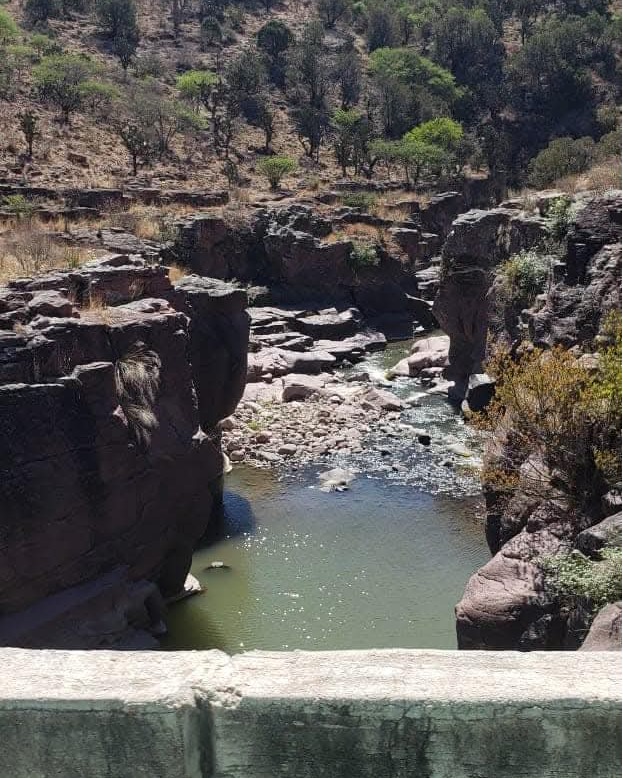 La presa Milpillas, una amenaza de muerte y despojo  