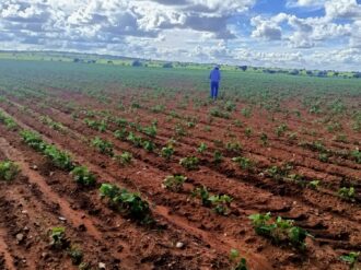 Se estanca la actividad económica en Zacatecas 