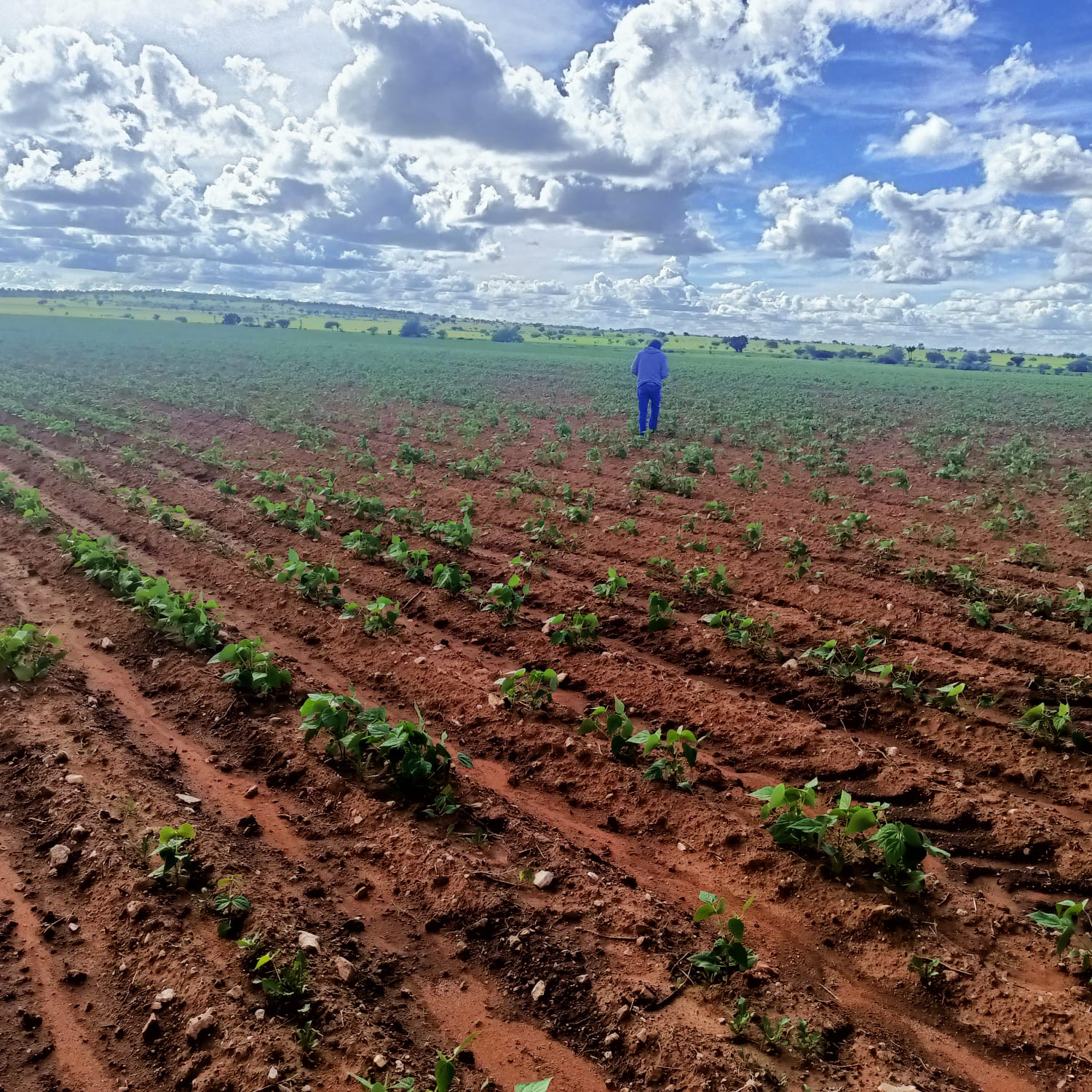 Se estanca la actividad económica en Zacatecas  