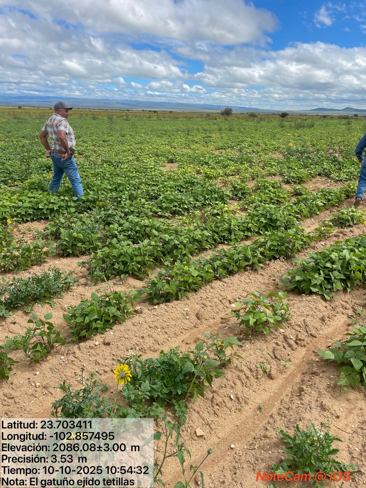 Supervisan  zonas agrícolas y ganaderas de Río Grande 
