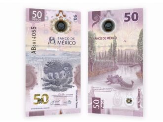 Hay 12.5 mdp guardados en billetes de 50 pesos