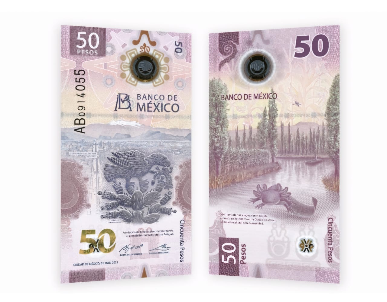 Hay 12.5 mdp guardados en billetes de 50 pesos
