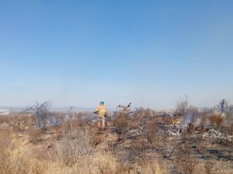 Sofocan incendio de pastizal en Río Grande