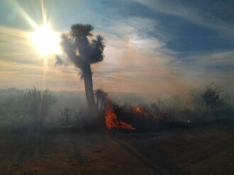 Se unen para sofocar incendio en «Los Amarillos»