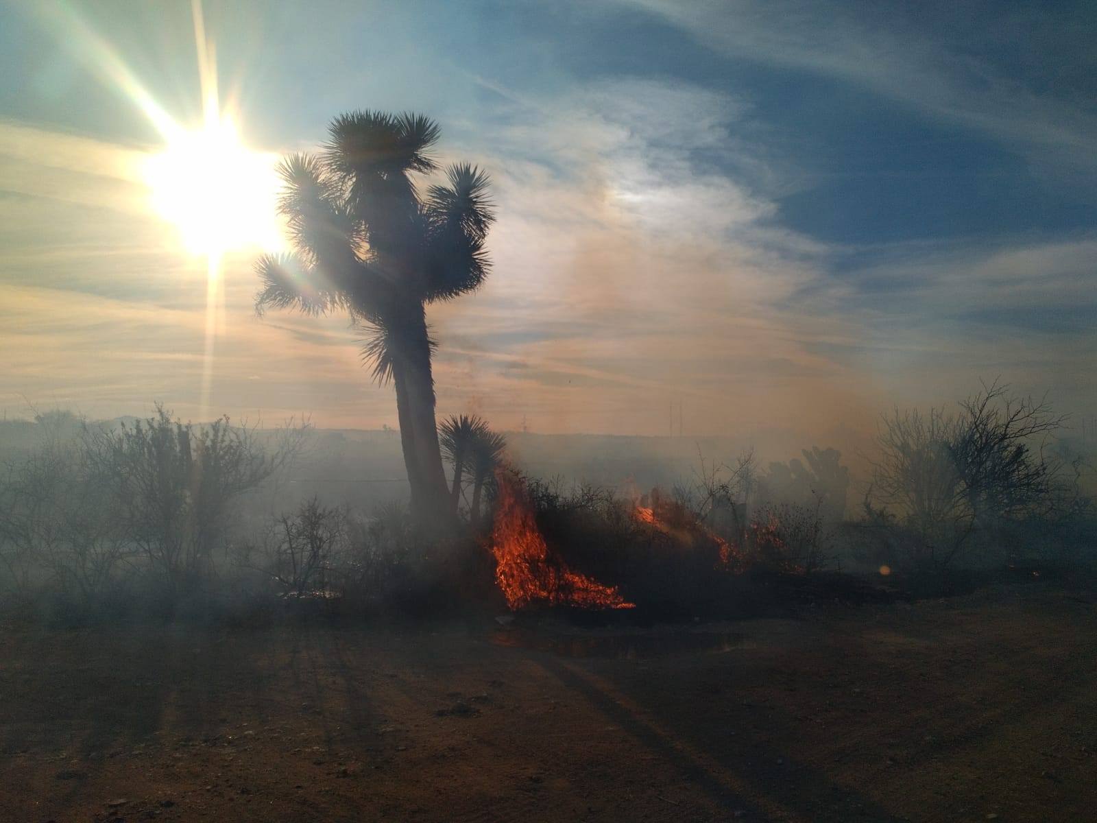 Se unen para sofocar incendio en «Los Amarillos»