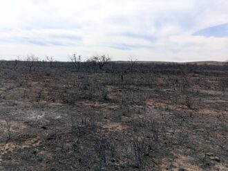 Se consumen 1 mil 200 hectáreas tras incendio en Villa de Cos