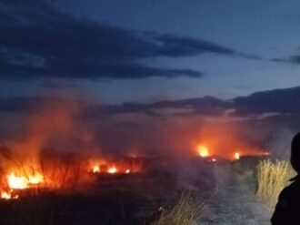 Detectan autoridades quemas clandestinas en Sierra Vieja