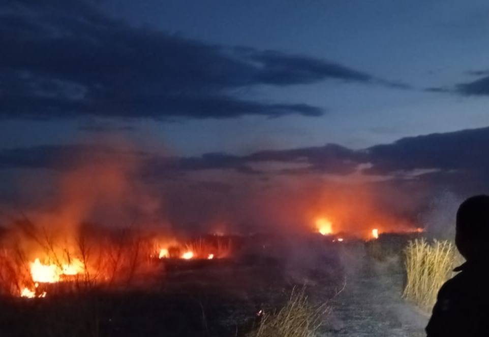 Detectan autoridades quemas clandestinas en Sierra Vieja