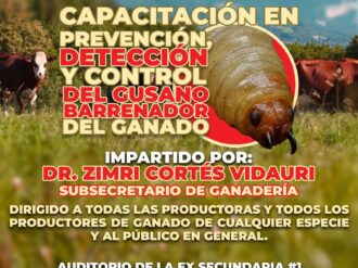 Buscan prevenir el gusano barrenador 