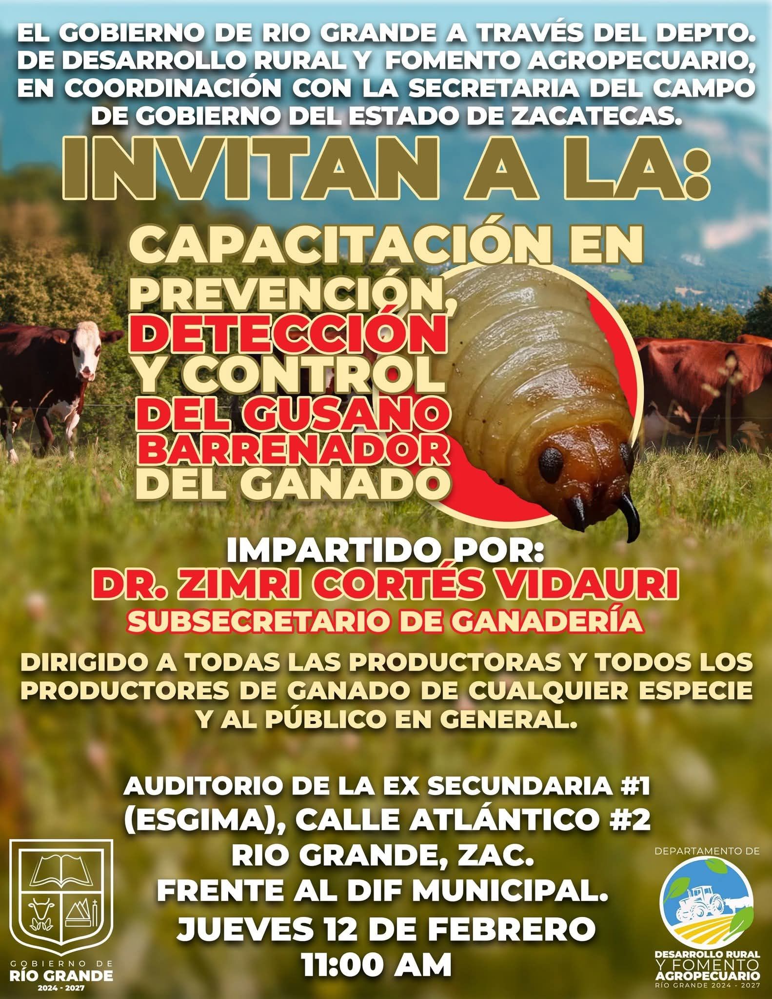 Buscan prevenir el gusano barrenador 