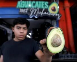 Supera aguacate mexicanos exportaciones de 2025 al Super Bowl 