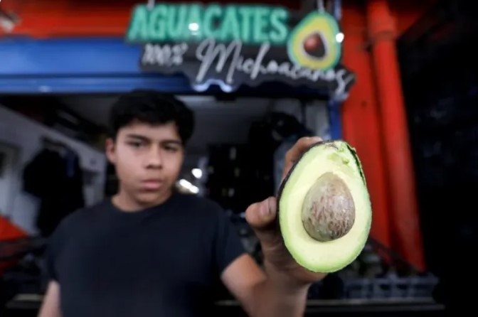 Supera aguacate mexicanos exportaciones de 2025 al Super Bowl