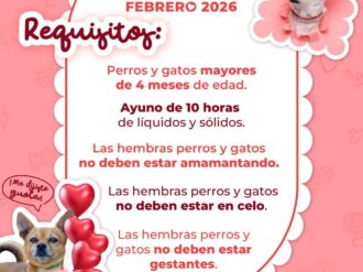 Anuncian jornadas de cirugías de esterilización canina y felina 