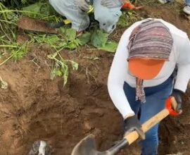 Hallan madres buscadoras más de mil fosas clandestinas desde 2023 