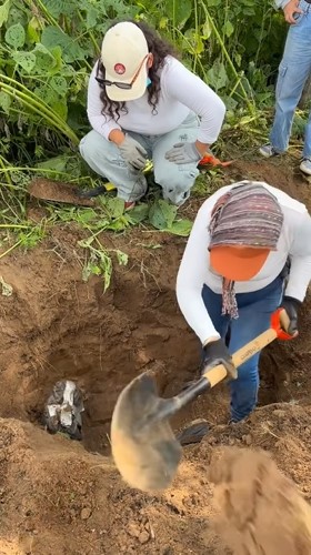 Hallan madres buscadoras más de mil fosas clandestinas desde 2023
