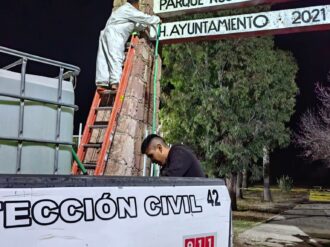 Retiran enjambre de abejas en el parque municipal