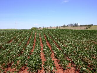 Advierten más movilizaciones