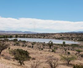 Buscan «sembrar» agua en Zacatecas;  invierten 24 millones de dólares  