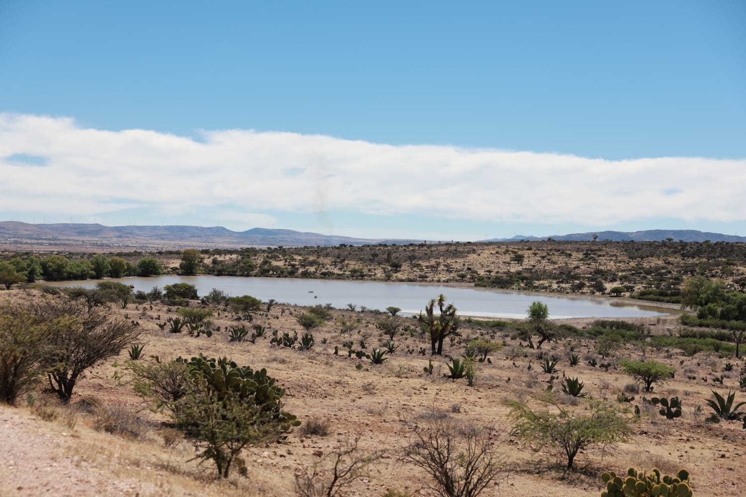 Buscan «sembrar» agua en Zacatecas;  invierten 24 millones de dólares 