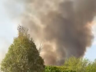Se registra incendio forestal en «El Talayote»